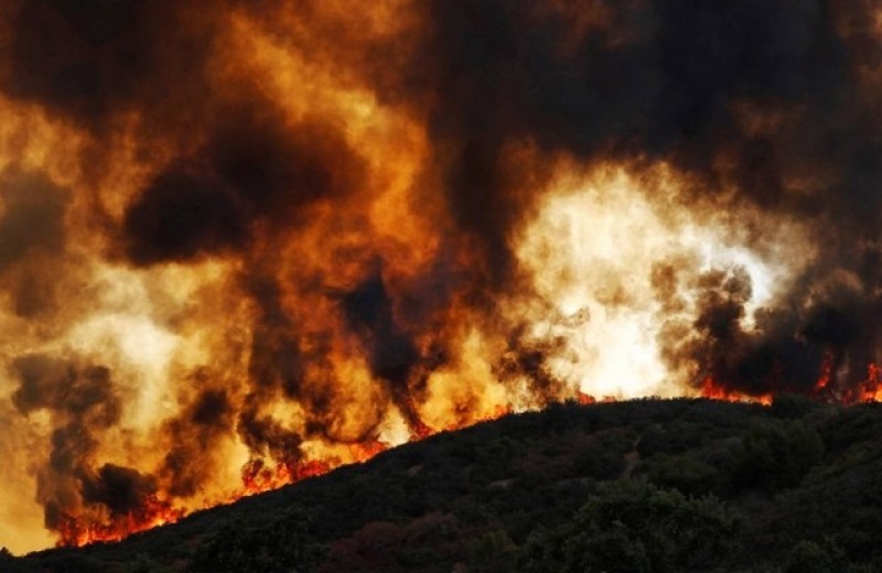 Ολονύκτια μάχη για την κατάσβεση της δασικής πυρκαγιάς στην Σιθωνία