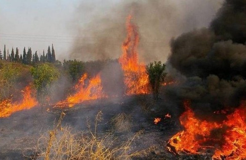  Η πυρκαγιά  στη Σιθωνία Χαλκιδικής