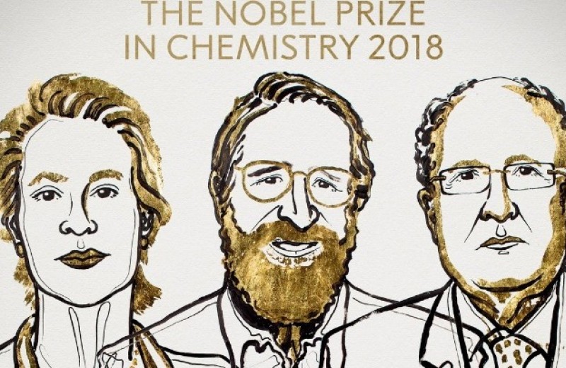 Δύο Αμερικανοί και ένας Βρετανός τιμήθηκαν σήμερα με το βραβείο Νόμπελ Χημείας