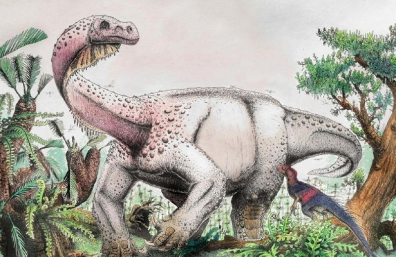 Το απολίθωμα ενός νέου είδους γιγαντιαίου δεινόσαυρου ανακάλυψαν παλαιοντολόγοι στη Νότια Αφρική