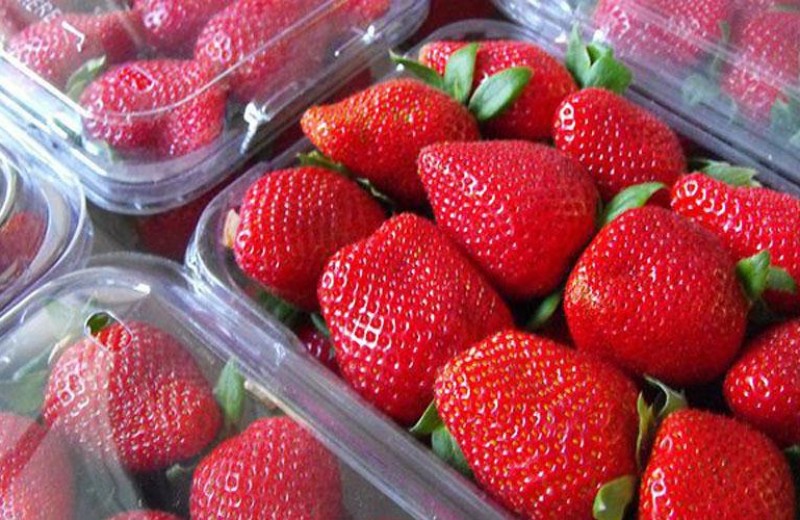 Aμοιβή 100.000 δολαρίων για όσους βρουν τους δράστες τοποθέτησης βελονών σε φράουλες