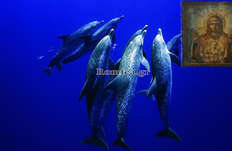ΘΑΥΜΑ: Δελφίνια έβγαλαν εικόνα της Παναγίας στην ακτή (ΦΩΤΟ)